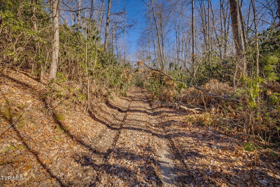 Photo #15: Tbd Sciota Road