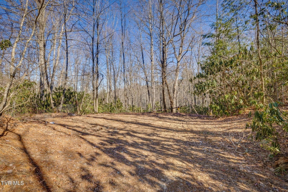 Photo #16: Tbd Sciota Road