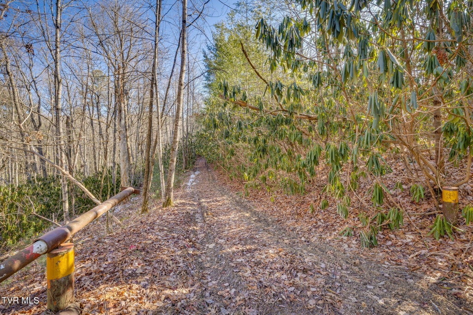 Photo #17: Tbd Sciota Road