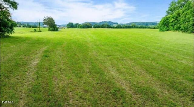 Photo #5: 185 Lester Snapp Road