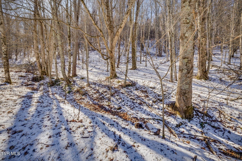 Photo #6: 140 Doe Lane