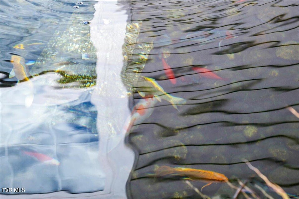 Photo #38: 994 Boones Creek Road