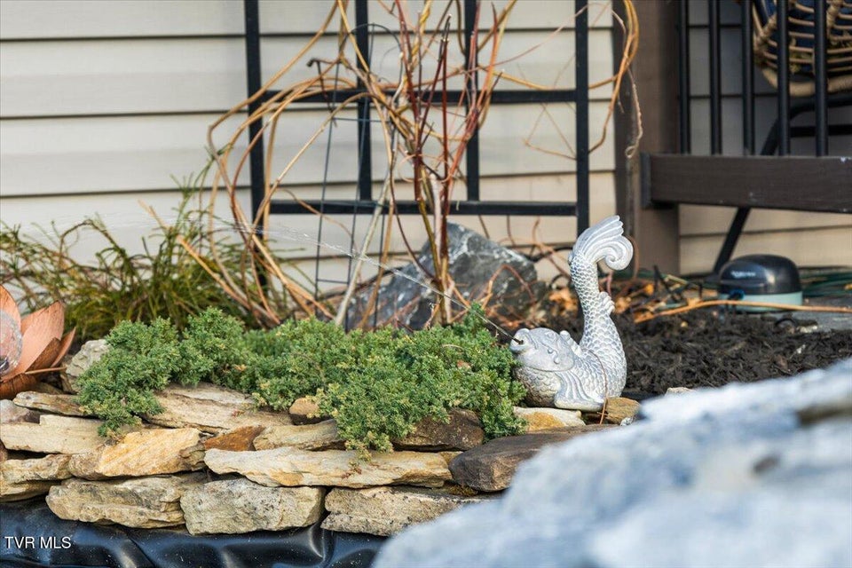 Photo #39: 994 Boones Creek Road