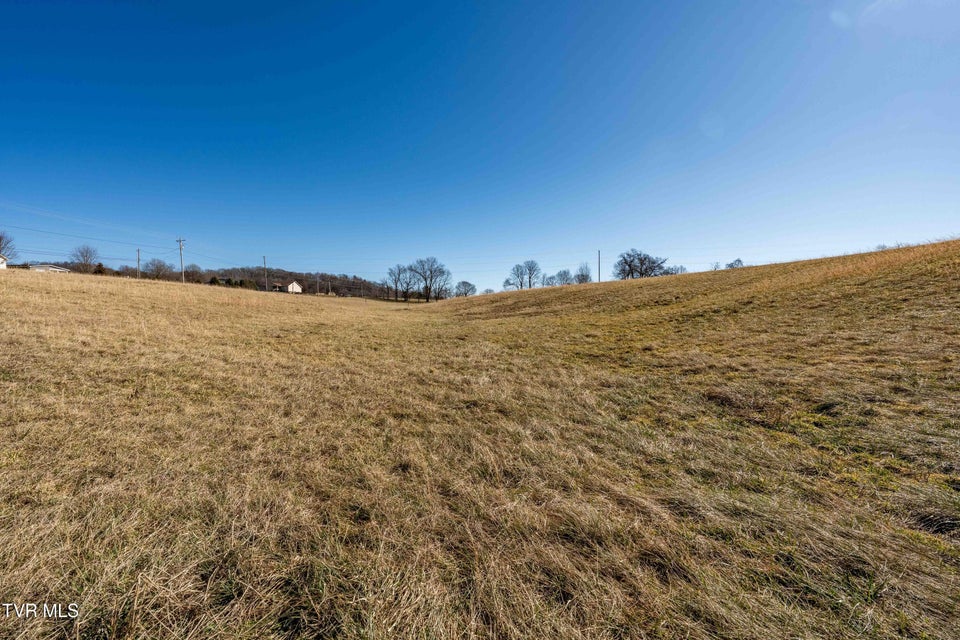 Photo #13: 1490 Highway 81 N 