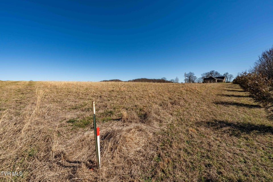 Photo #15: 1490 Highway 81 N 