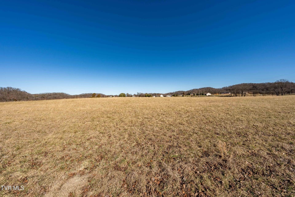 Photo #16: 1490 Highway 81 N 