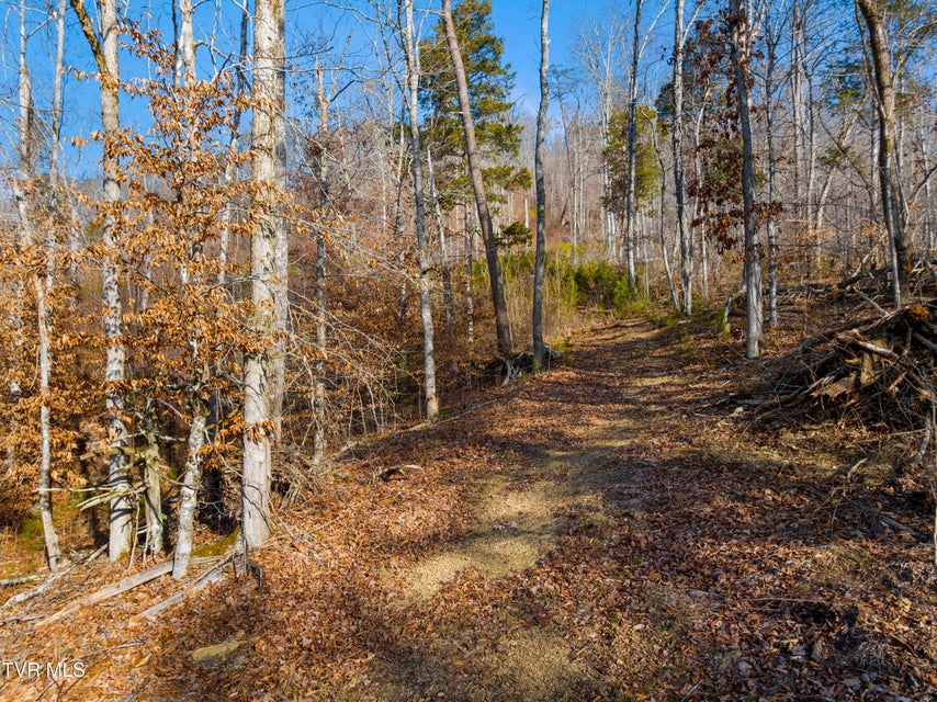 Photo #13: Tbd Butcher Valley Rd 