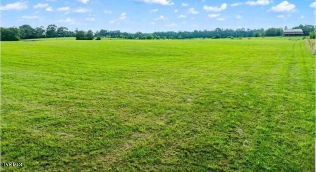 Photo #4: 185 Lester Snapp Road