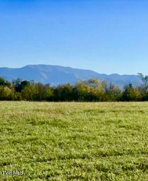 Photo #5: 185 Lester Snapp Road