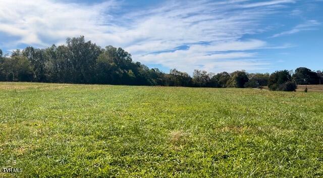 Photo #6: 185 Lester Snapp Road