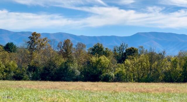 Photo #7: 185 Lester Snapp Road