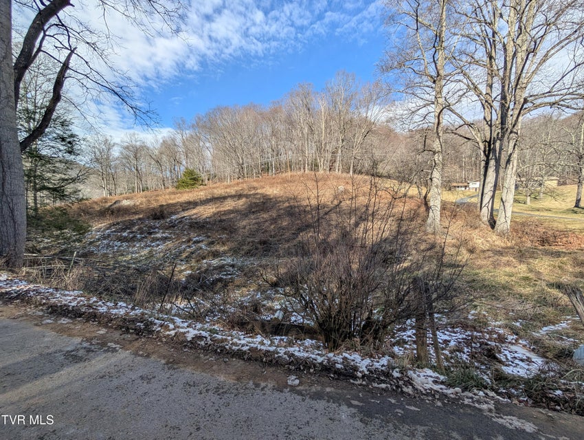 Photo #4: Tbd Heaton Ridge Road