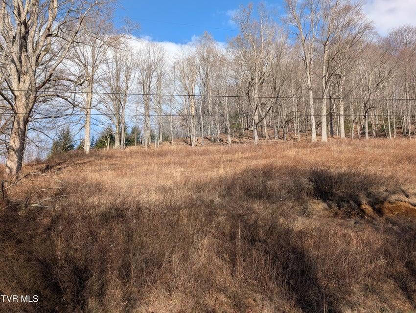 Photo #8: Tbd Heaton Ridge Road