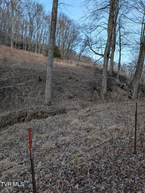 Photo #18: Tbd Heaton Ridge Road