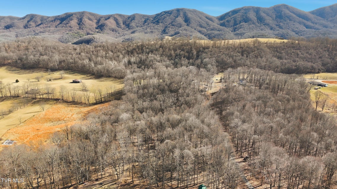 Photo #52: 104 Wise Lane