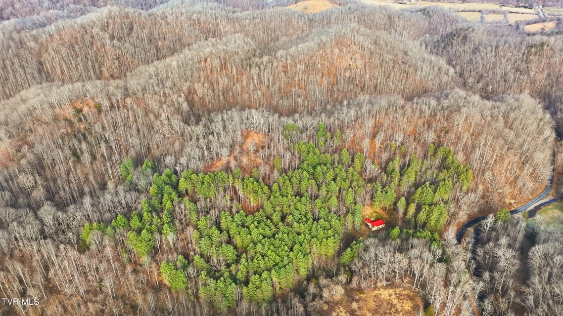 Photo #35: 11132 Toole Creek Road