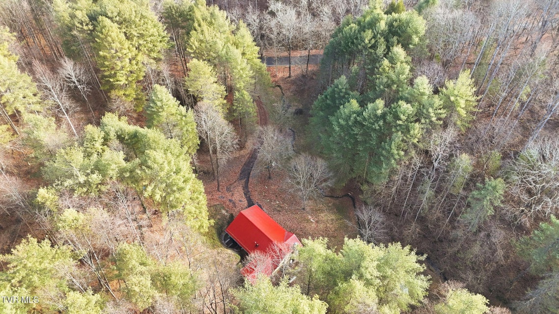 Photo #40: 11132 Toole Creek Road