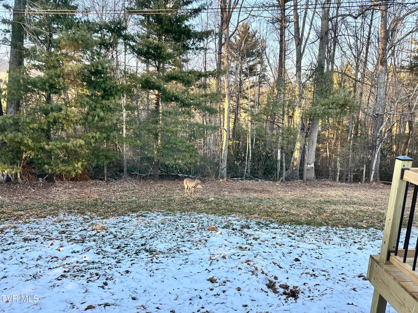 Photo #38: 256 William Hawkins Lane