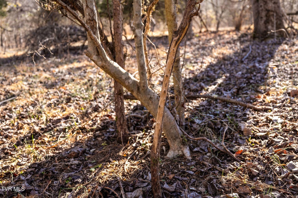 Photo #19: Tbd Cooks Landing Road