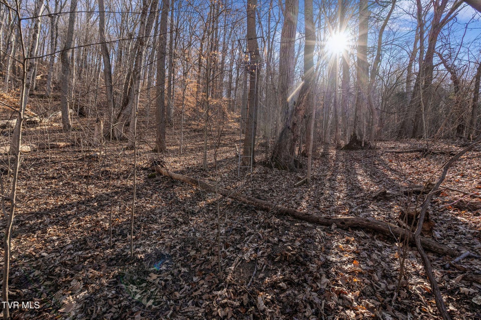 Photo #21: Tbd Cooks Landing Road