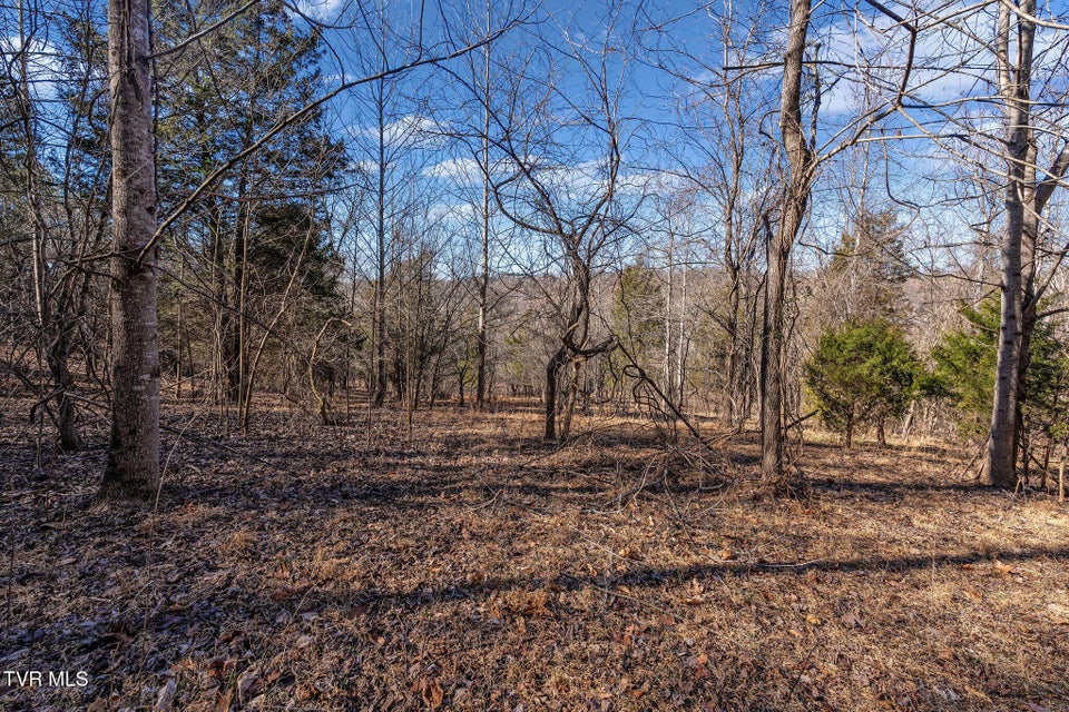 Photo #14: Tbd Cooks Landing Road