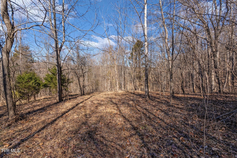 Photo #15: Tbd Cooks Landing Road