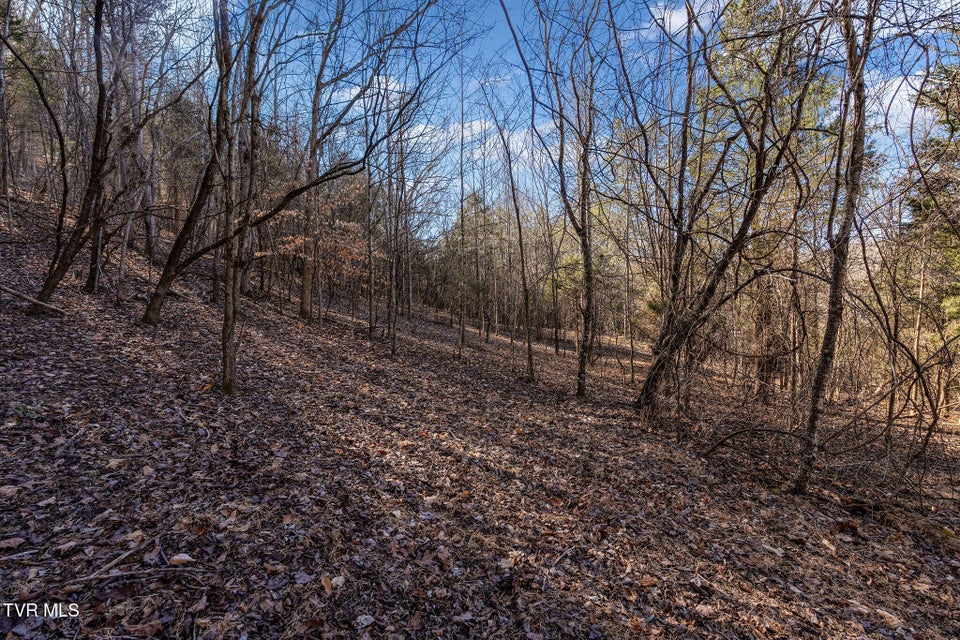 Photo #22: Tbd Cooks Landing Road