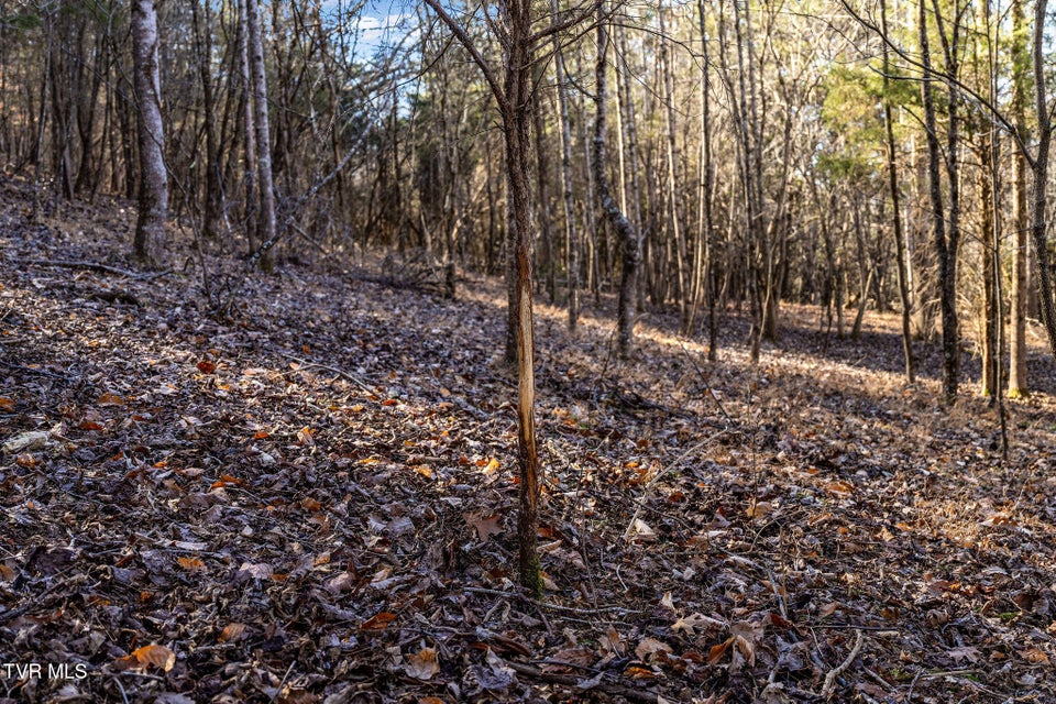 Photo #23: Tbd Cooks Landing Road