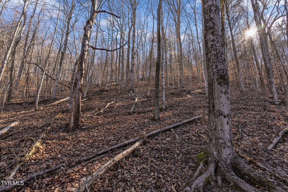 Photo #24: Tbd Cooks Landing Road