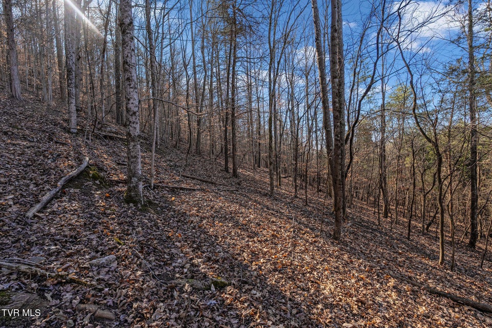 Photo #25: Tbd Cooks Landing Road