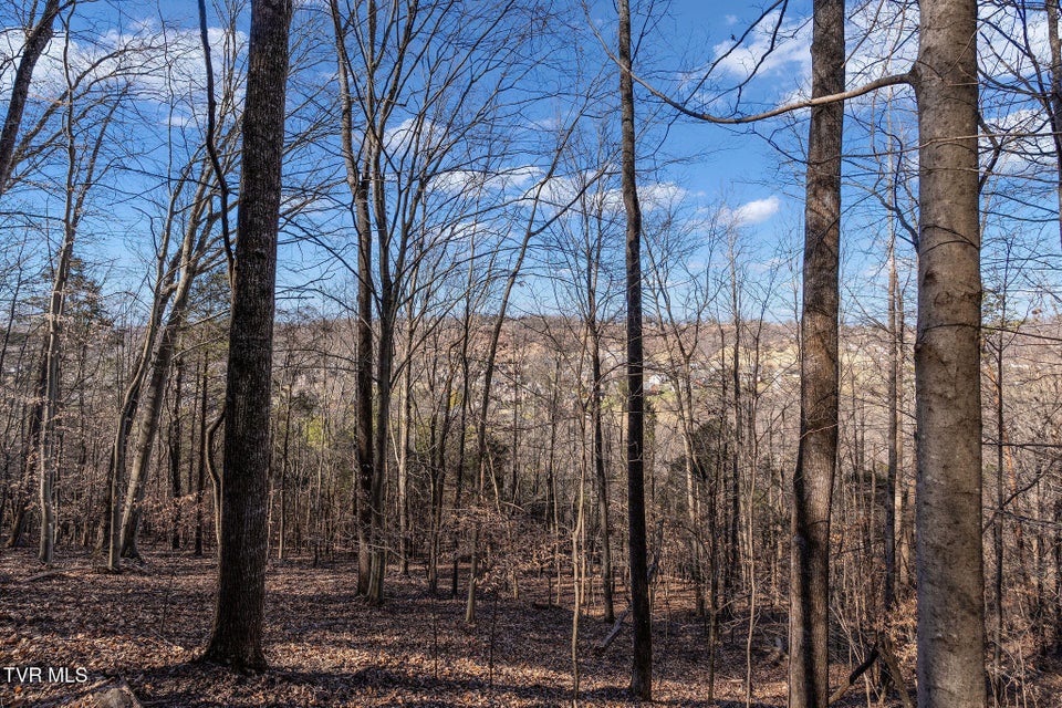 Photo #26: Tbd Cooks Landing Road