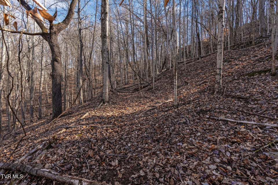 Photo #27: Tbd Cooks Landing Road