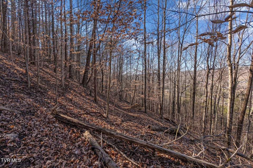 Photo #28: Tbd Cooks Landing Road