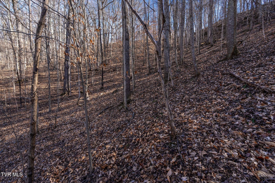 Photo #29: Tbd Cooks Landing Road