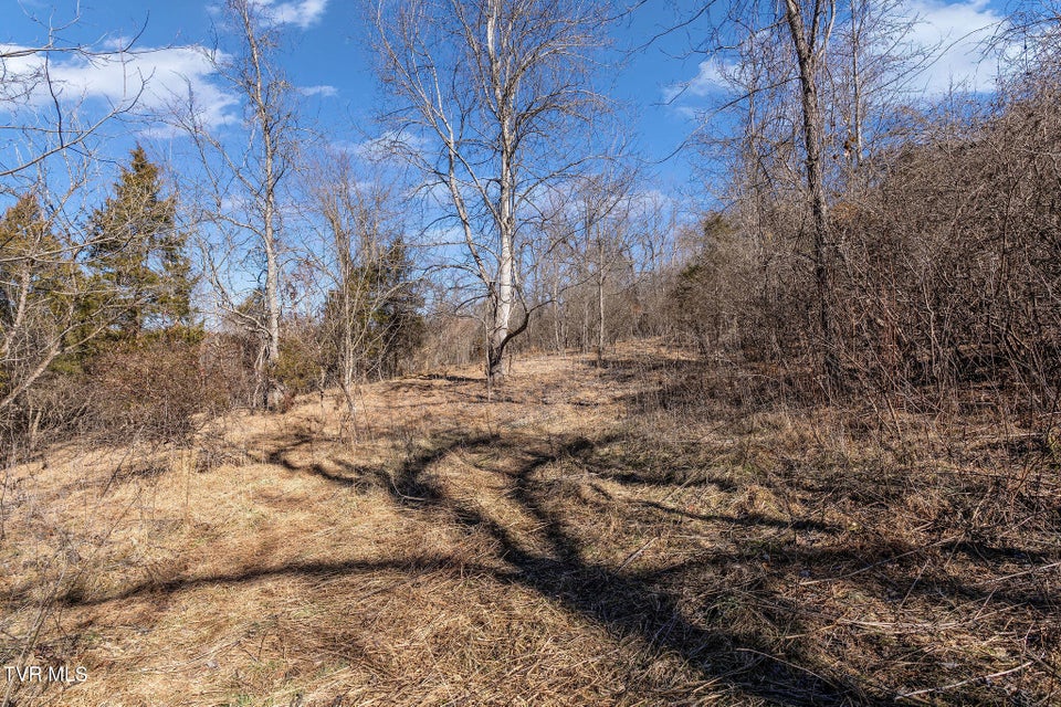 Photo #16: Tbd Cooks Landing Road