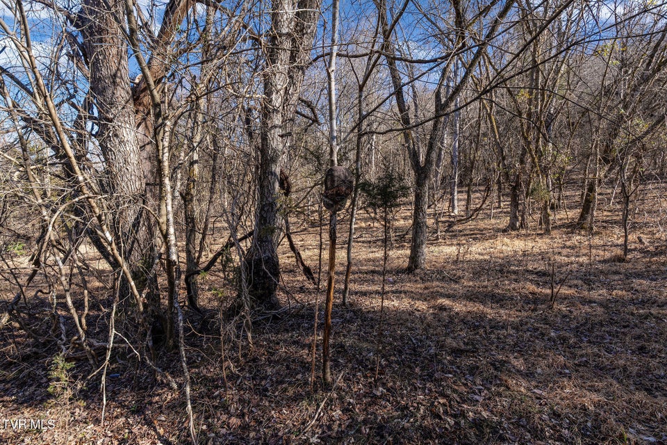 Photo #18: Tbd Cooks Landing Road