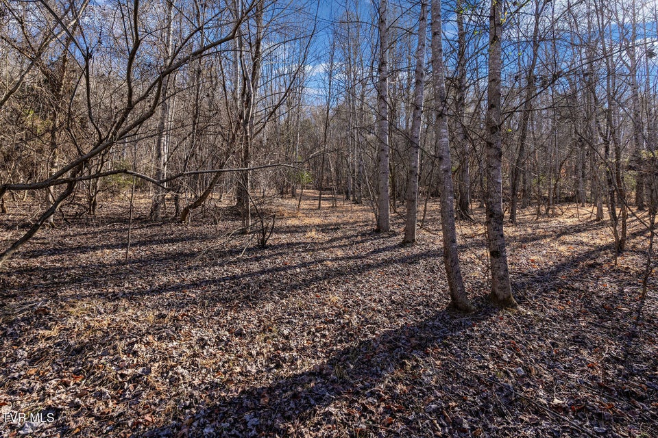 Photo #17: Tbd Cooks Landing Road