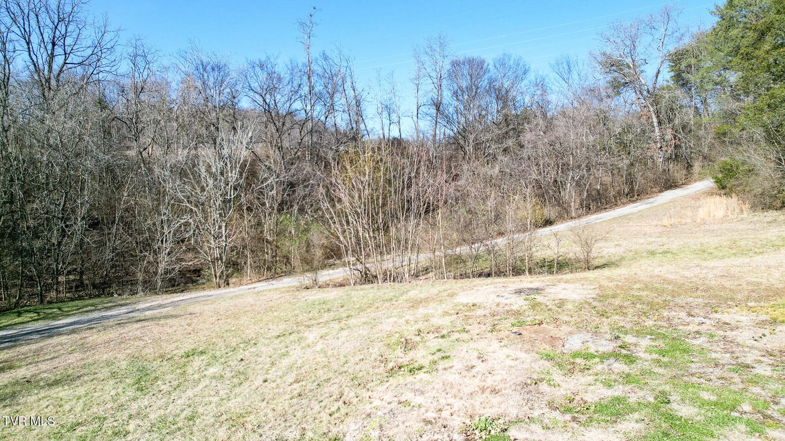 Photo #10: 3023 Davy Crockett Parkway