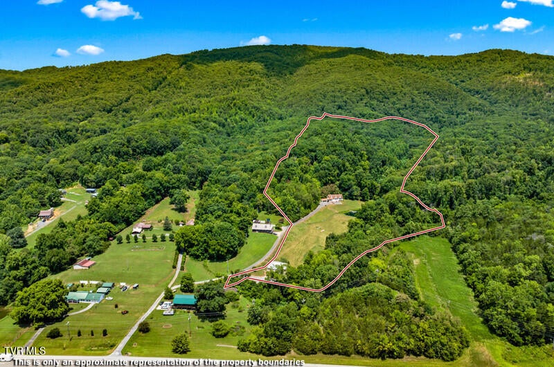 Photo #3: 9514 Highway 11w 