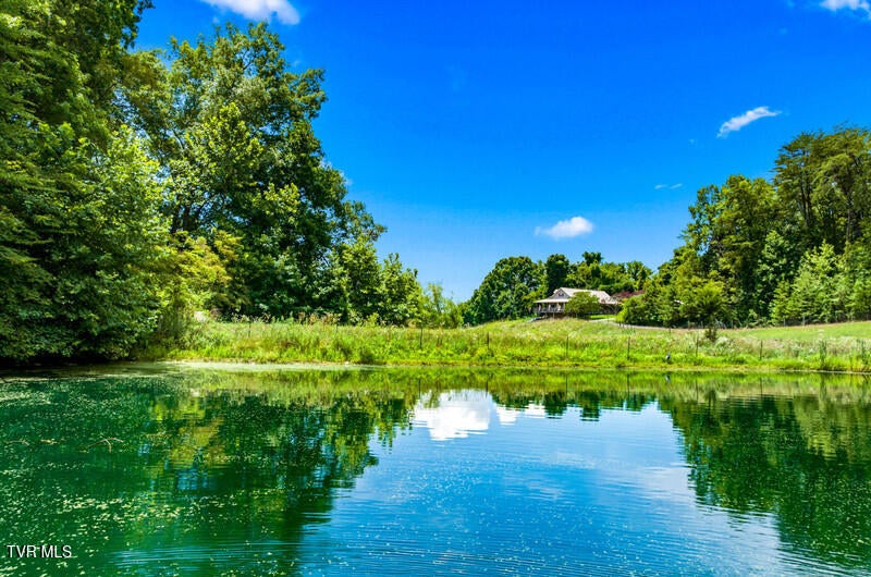 Photo #6: 9514 Highway 11w 