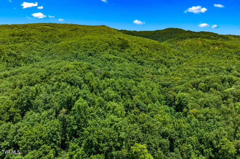 Photo #15: 9514 Highway 11w 