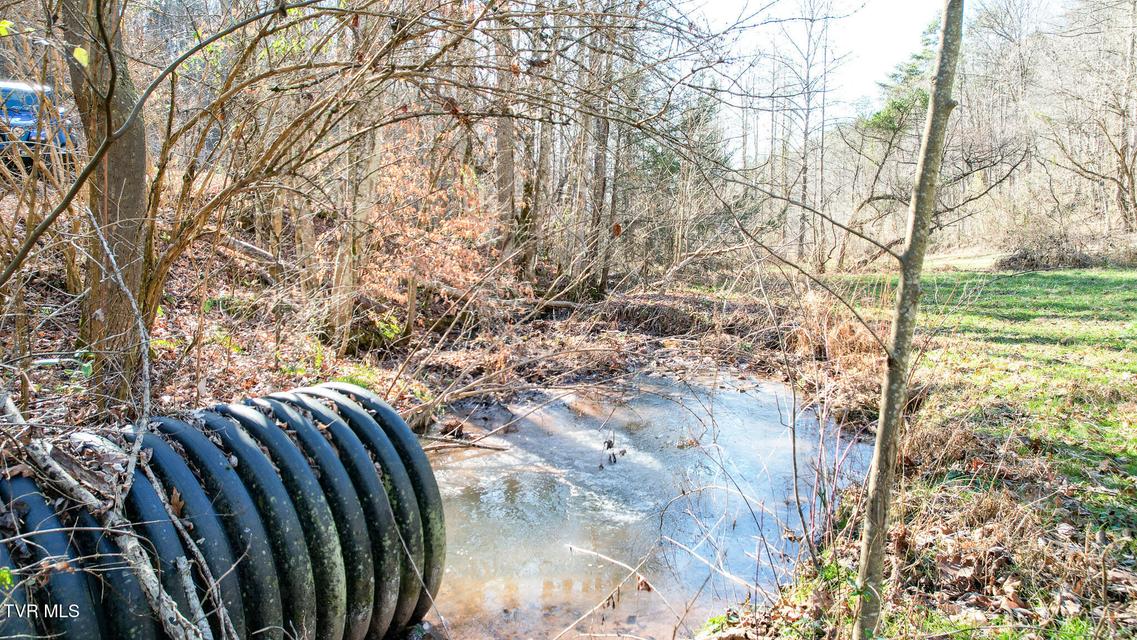 Photo #8: 752 War Valley Road