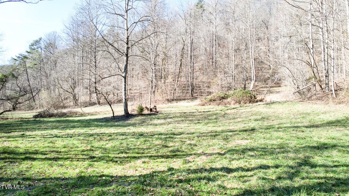 Photo #10: 752 War Valley Road