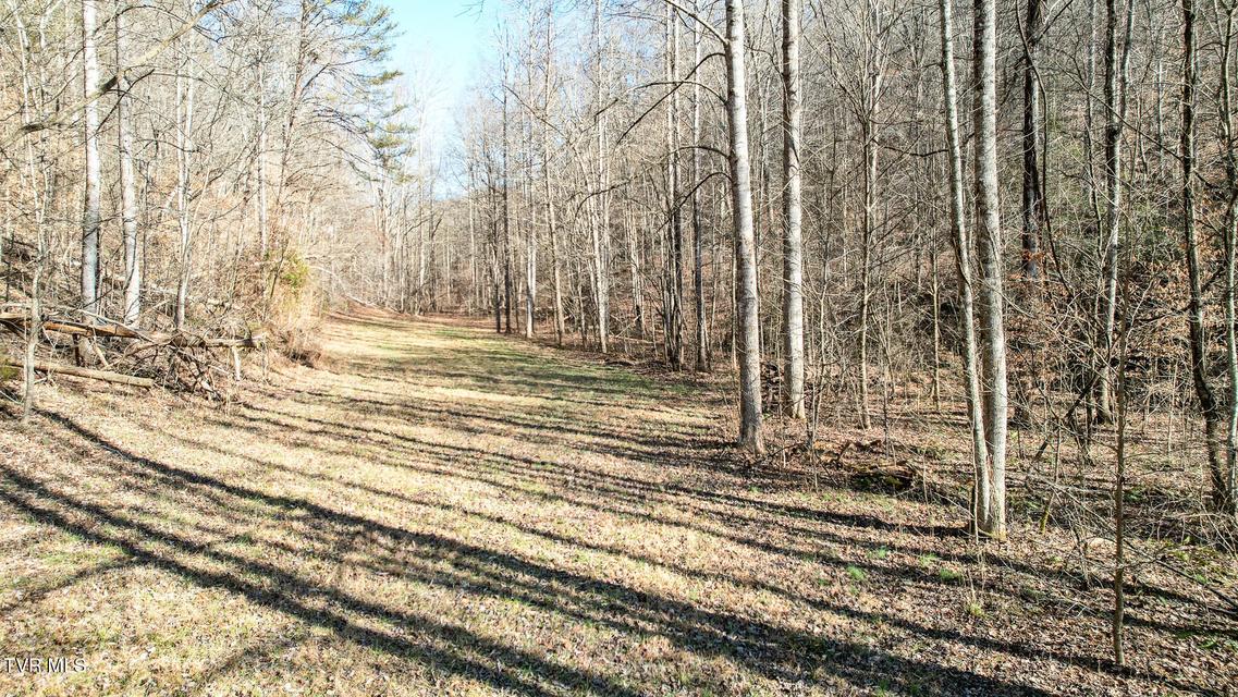 Photo #14: 752 War Valley Road