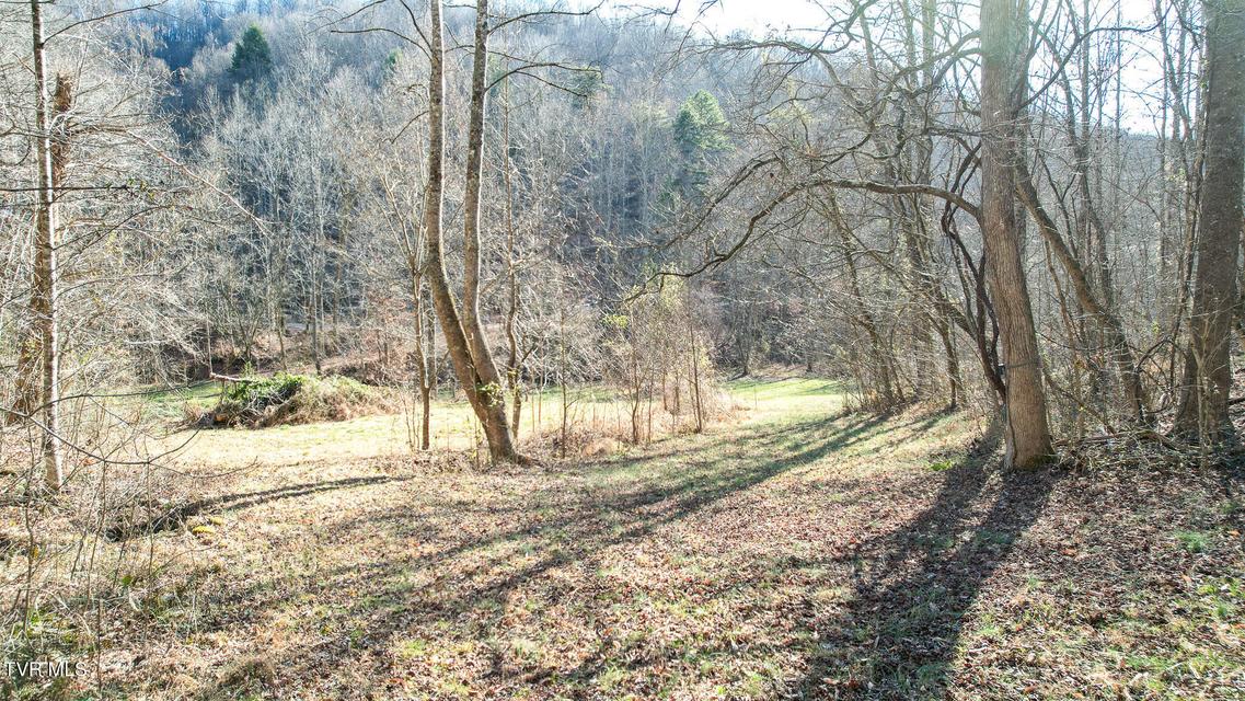 Photo #15: 752 War Valley Road