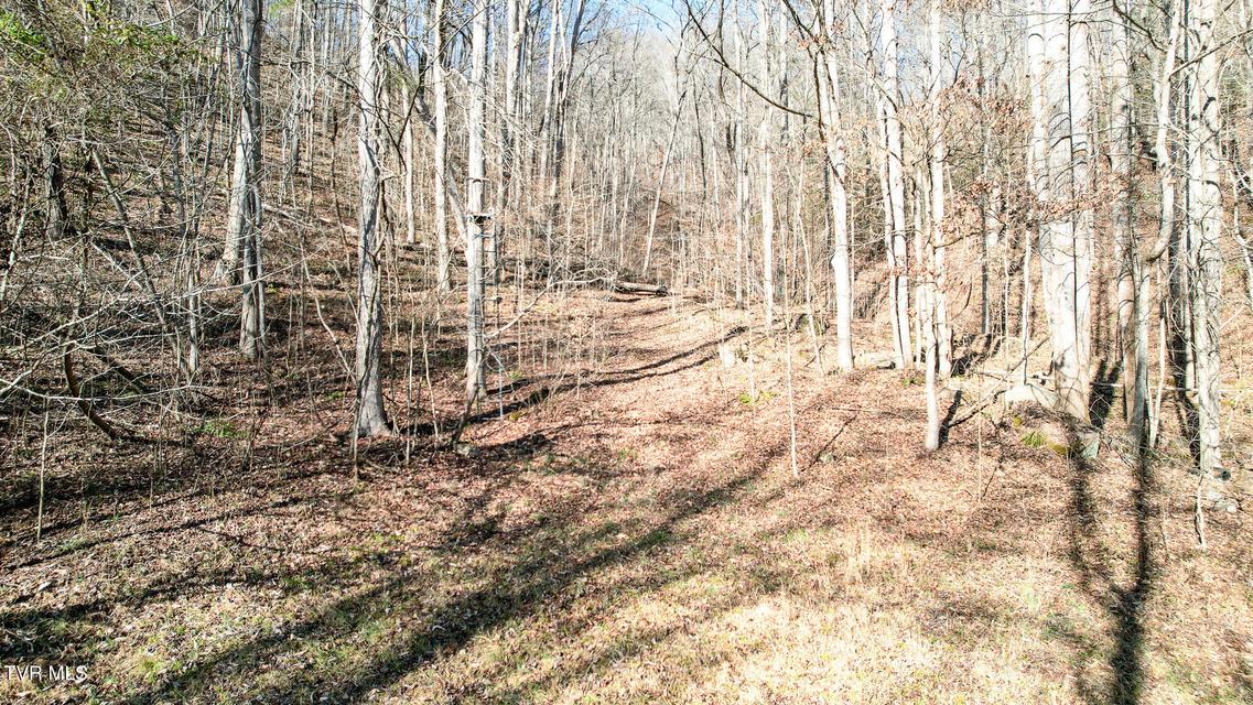 Photo #16: 752 War Valley Road