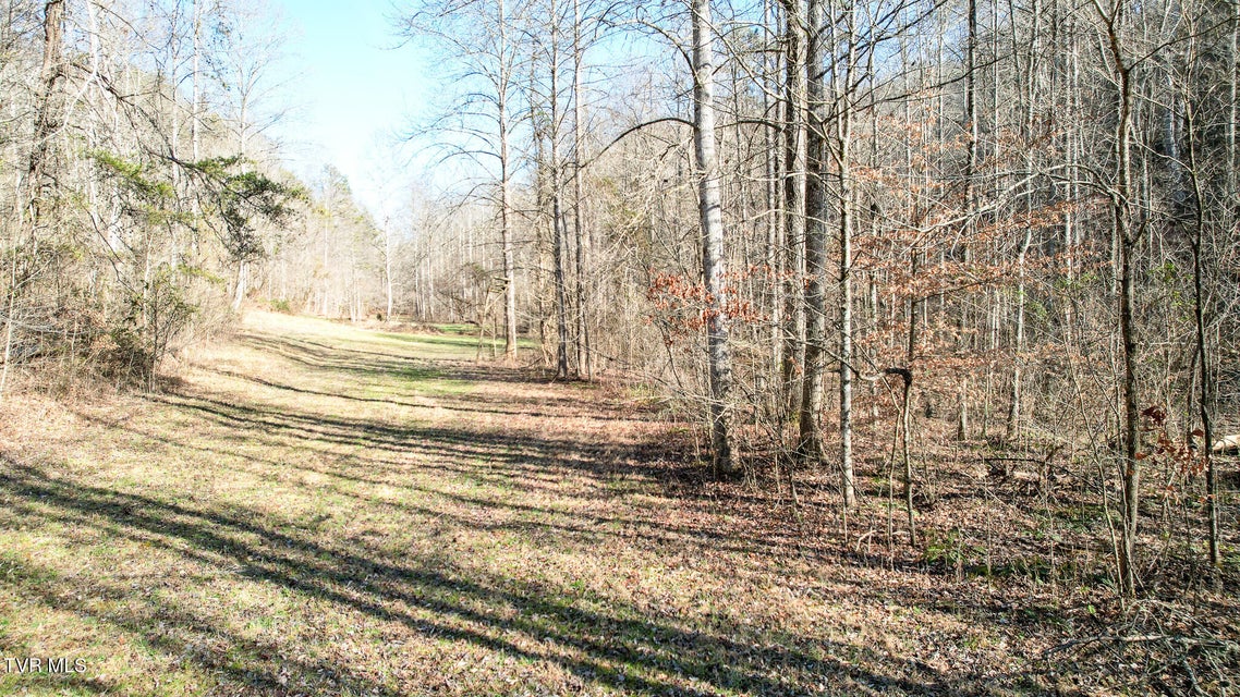 Photo #17: 752 War Valley Road