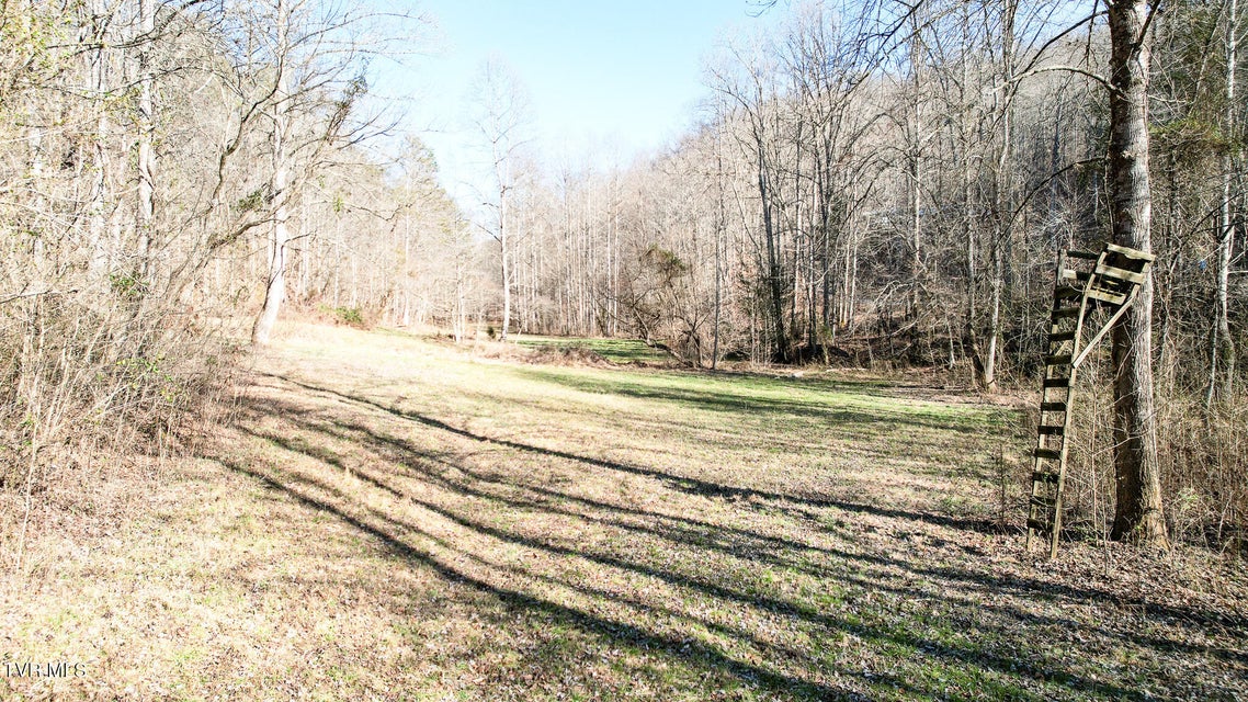 Photo #18: 752 War Valley Road