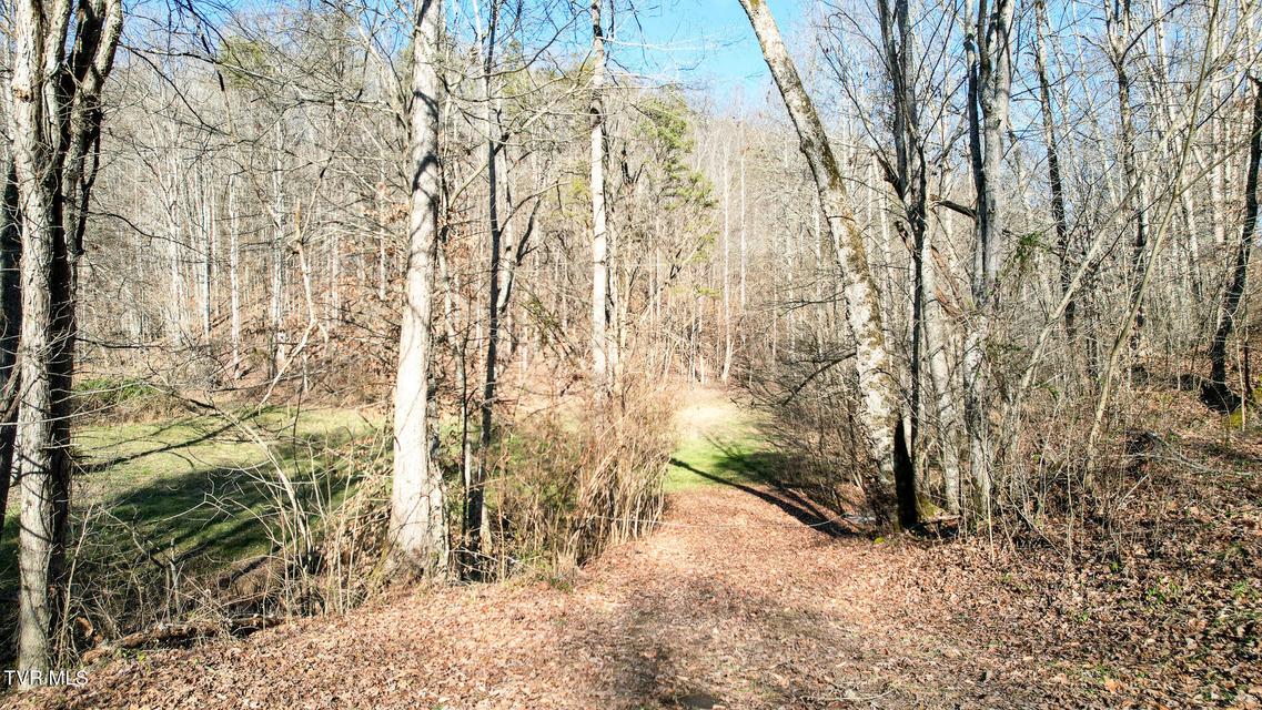 Photo #21: 752 War Valley Road