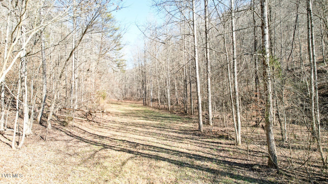 Photo #22: 752 War Valley Road